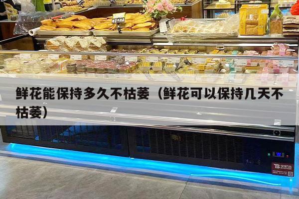 鲜花能保持多久不枯萎（鲜花可以保持几天不枯萎）