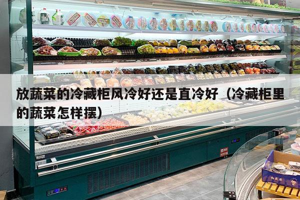 放蔬菜的冷藏柜风冷好还是直冷好（冷藏柜里的蔬菜怎样摆）