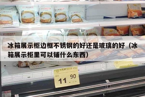 冰箱展示柜边框不锈钢的好还是玻璃的好（冰箱展示柜里可以铺什么东西）