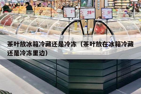 茶叶放冰箱冷藏还是冷冻（茶叶放在冰箱冷藏还是冷冻里边）