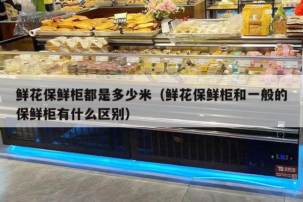 鲜花保鲜柜都是多少米（鲜花保鲜柜和一般的保鲜柜有什么区别）
