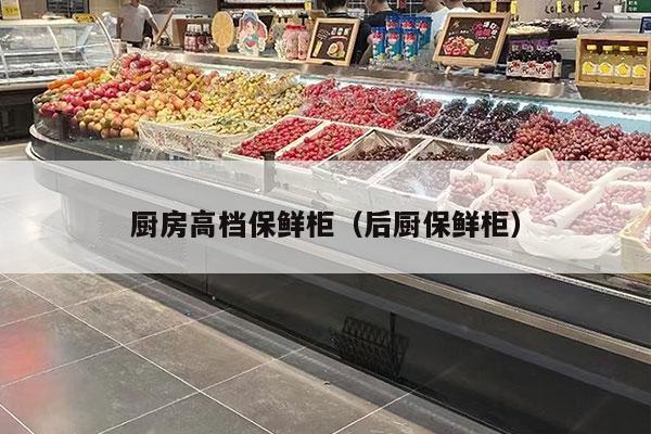 厨房高档保鲜柜（后厨保鲜柜）