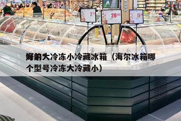 海尔*
好的大冷冻小冷藏冰箱（海尔冰箱哪个型号冷冻大冷藏小）