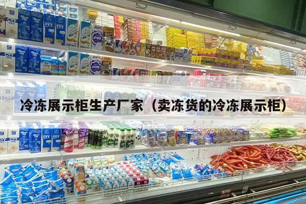 冷冻展示柜生产厂家（卖冻货的冷冻展示柜）