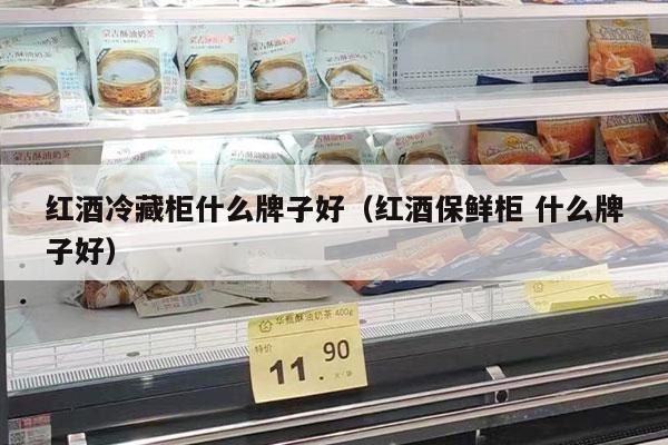 红酒冷藏柜什么牌子好（红酒保鲜柜 什么牌子好）