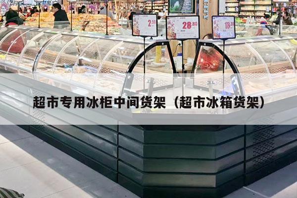 超市专用冰柜中间货架（超市冰箱货架）