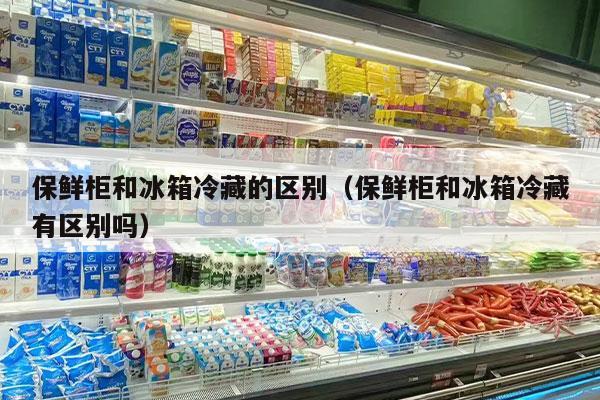 保鲜柜和冰箱冷藏的区别（保鲜柜和冰箱冷藏有区别吗）