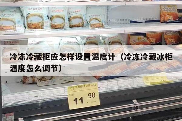 冷冻冷藏柜应怎样设置温度计（冷冻冷藏冰柜温度怎么调节）