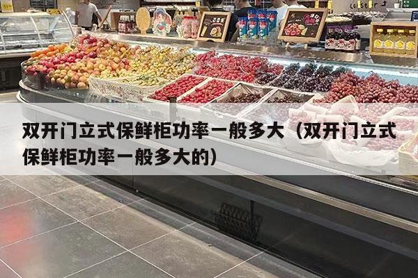 双开门立式保鲜柜功率一般多大（双开门立式保鲜柜功率一般多大的）