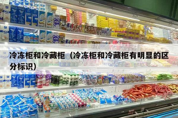 冷冻柜和冷藏柜（冷冻柜和冷藏柜有明显的区分标识）