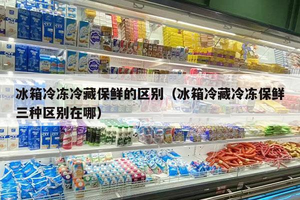 冰箱冷冻冷藏保鲜的区别（冰箱冷藏冷冻保鲜三种区别在哪）