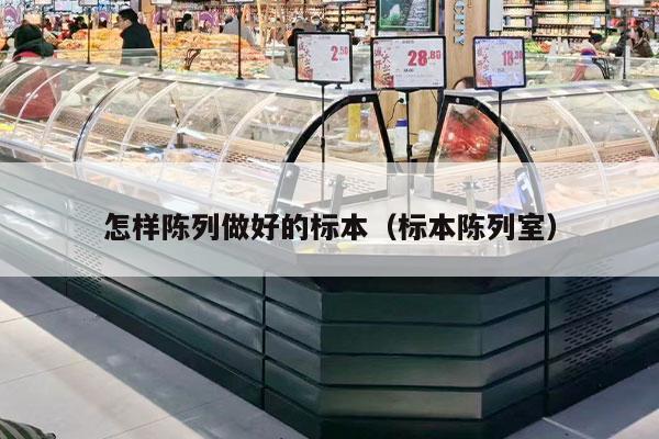 怎样陈列做好的标本（标本陈列室）