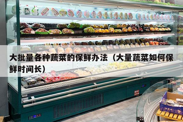 大批量各种蔬菜的保鲜办法（大量蔬菜如何保鲜时间长）