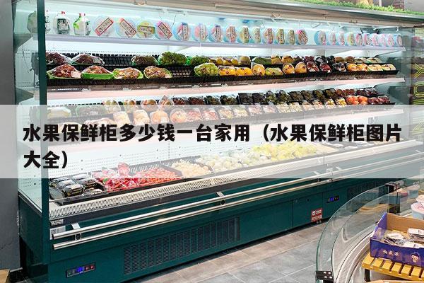 水果保鲜柜多少钱一台家用（水果保鲜柜图片大全）