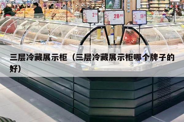三层冷藏展示柜（三层冷藏展示柜哪个牌子的*
好）