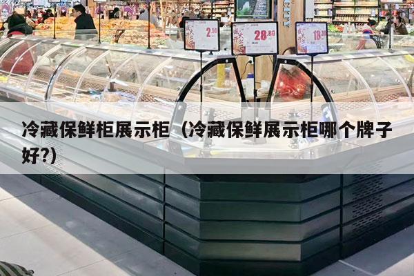 冷藏保鲜柜展示柜（冷藏保鲜展示柜哪个牌子好?）
