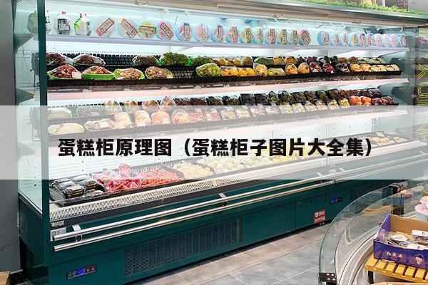 蛋糕柜原理图（蛋糕柜子图片大全集）