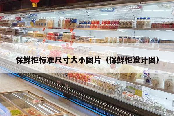 保鲜柜标准尺寸大小图片（保鲜柜设计图）