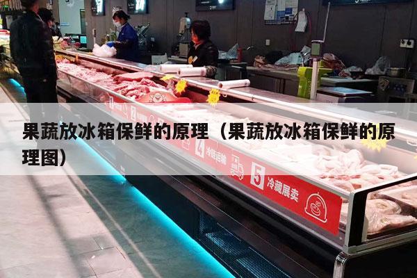 果蔬放冰箱保鲜的原理（果蔬放冰箱保鲜的原理图）