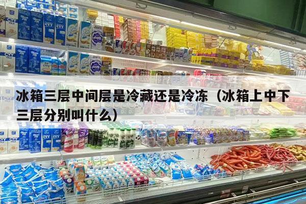 冰箱三层中间层是冷藏还是冷冻（冰箱上中下三层分别叫什么）