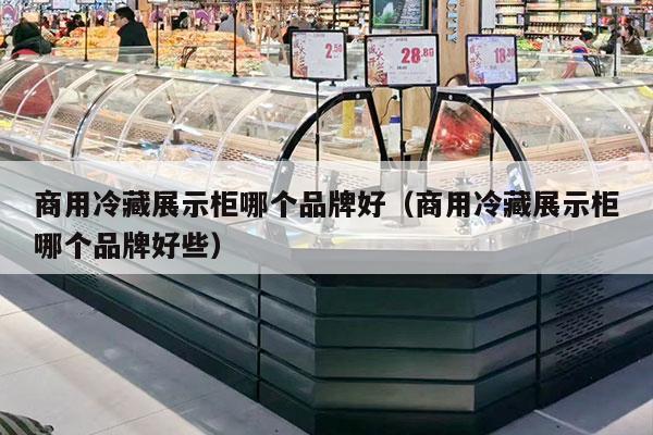 商用冷藏展示柜哪个品牌好（商用冷藏展示柜哪个品牌好些）