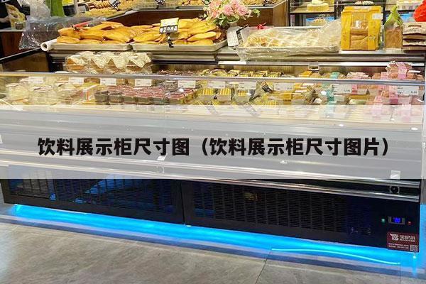 饮料展示柜尺寸图（饮料展示柜尺寸图片）