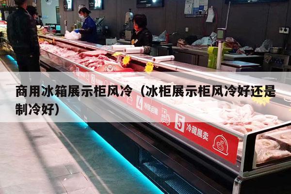 商用冰箱展示柜风冷（冰柜展示柜风冷好还是制冷好）