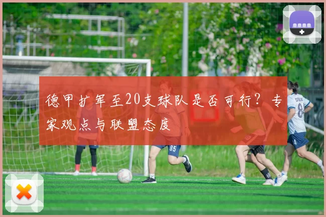 德甲扩军至20支球队是否可行？专家观点与联盟态度