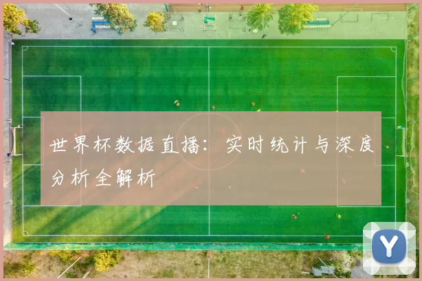 世界杯数据直播:实时统计与深度分析全解析