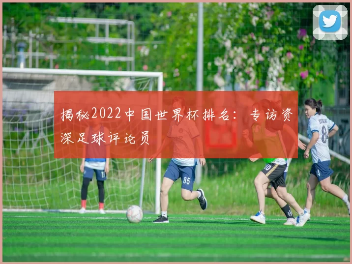 揭秘2022中国世界杯排名：专访资深足球评论员