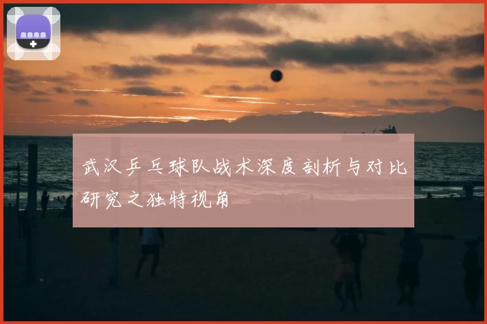 武汉乒乓球队战术深度剖析与对比研究之独特视角