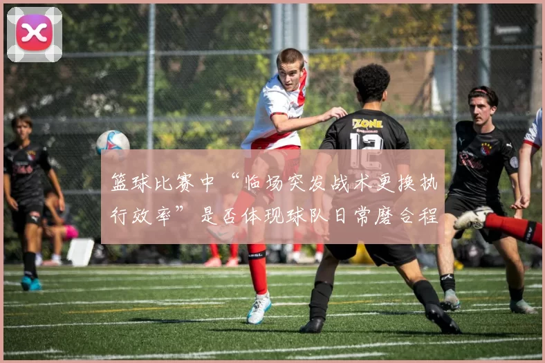 篮球比赛中“临场突发战术更换执行效率”是否体现球队日常磨合程度