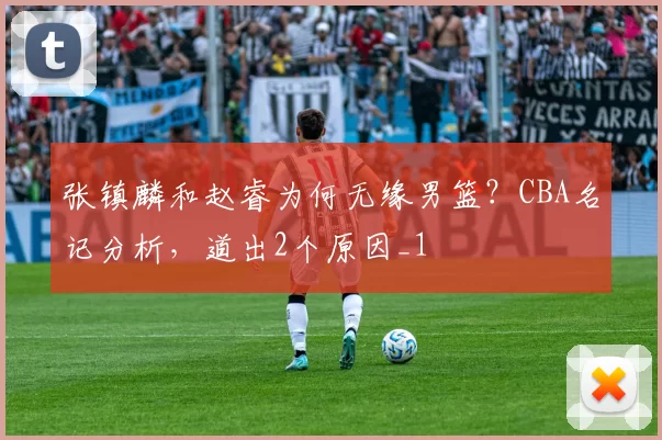 张镇麟和赵睿为何无缘男篮？CBA名记分析，道出2个原因_1