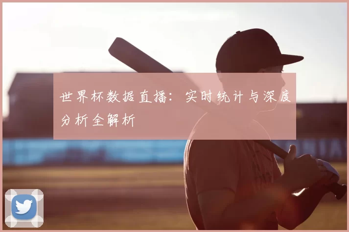 世界杯数据直播:实时统计与深度分析全解析
