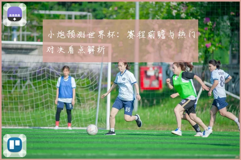 小炮预测世界杯：赛程前瞻与热门对决看点解析