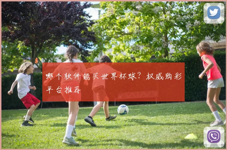 哪个软件能买世界杯球？权威购彩平台推荐