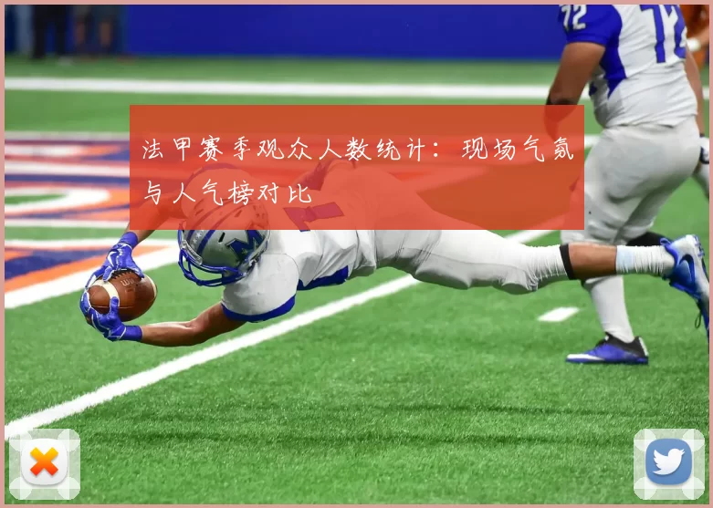 法甲赛季观众人数统计：现场气氛与人气榜对比