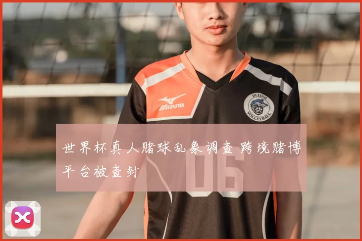 世界杯真人赌球乱象调查 跨境赌博平台被查封