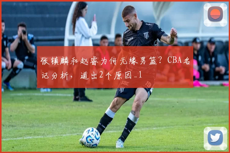 张镇麟和赵睿为何无缘男篮?CBA名记分析,道出2个原因_1