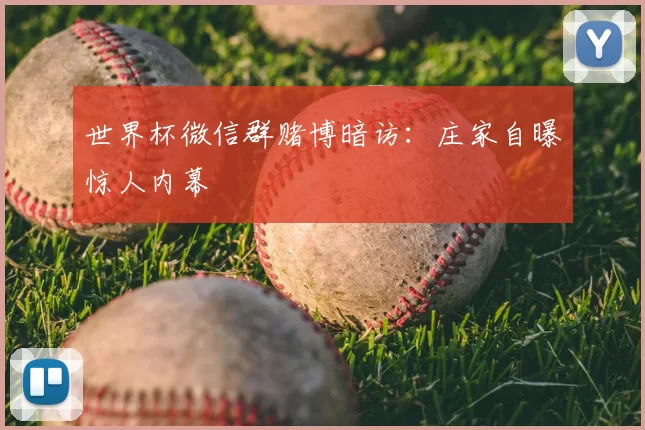 世界杯微信群赌博暗访:庄家自曝惊人内幕