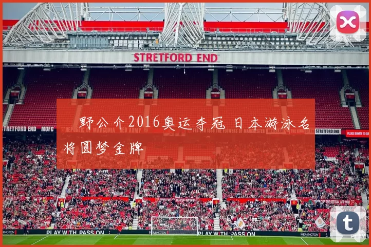 萩野公介2016奥运夺冠 日本游泳名将圆梦金牌