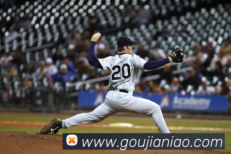 星空官网平台生态图