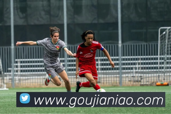 星空官网APP 封面图